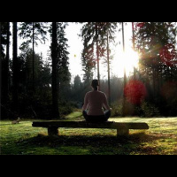 (r)Evolution wth HiC