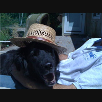 Convergence with John Carosella