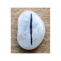 Convergence with John Carosella