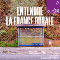 Entendre la France rurale 4/4 : Ruralité et politique : loin des villes, loin du coeur ?