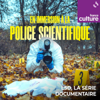 En immersion à la police scientifique 2/4 : Opération Bluestar, à la recherche dune trace de sang