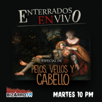 Pelos, vellos y cabello