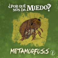¿Por qué nos da miedo la metamorfosis?