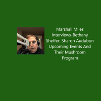 Marshall Miles Interviews-Bethany Sheffer: Sharon Audubon Upcoming Events And Their Mushroom Program