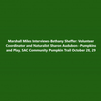 Marshall Miles Interviews-Bethany Sheffer: Volunteer Coordinator and Naturalist Sharon Audubon–Pumpkins and Play, SAC Community Pumpkin Trail October 28, 29