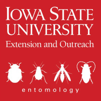 Soybean Pest Podcast