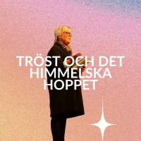 Gudstjänst: Tröst och det himmelska hoppet -Chatrine Carlson - 3/11