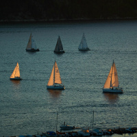 Same Storm, Different Boats