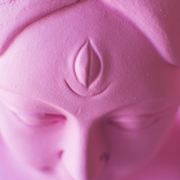 The Voice In Your Head