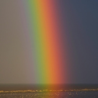 Your Chakras Are Calling