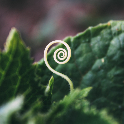 Shine On! Kaceys Health  Happiness Show