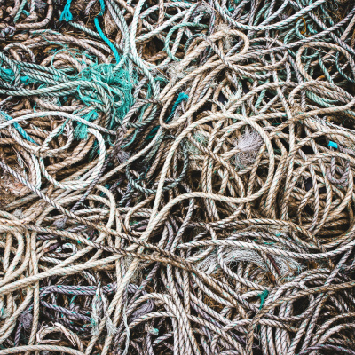 Shine On! Kaceys Health  Happiness Show