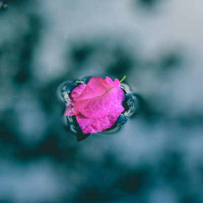 Shine On! Kaceys Health  Happiness Show