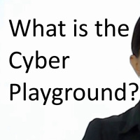 What is the Online World Really?