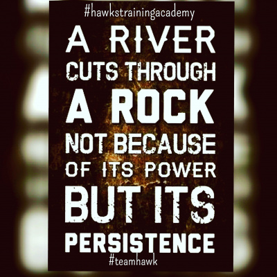 Hawks Training Academy