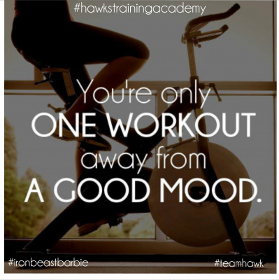 Hawks Training Academy