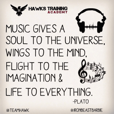 Hawks Training Academy