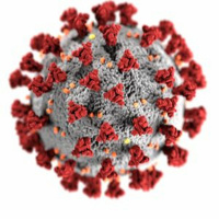 CoronaVirus Radio Show No1