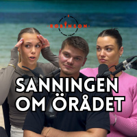 528. Sanningen om örådet