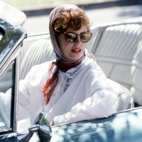 Thelma  Louise 2: Flying Thunderbird