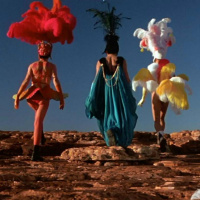 The Further Adventures of Priscilla, Queen of the Desert