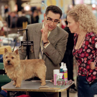 #201| Best In Show - Hounds Reunited