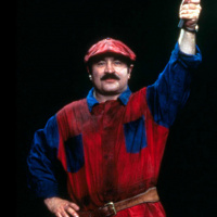 Super Mario Bros 2: The Quest for Peach