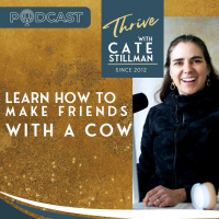 Go make friends with a Cow