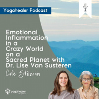 Emotional Inflammation in a Crazy World on a Sacred Planet with Dr. Lise Van Susteren