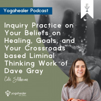 Inquiry Practice on Your Beliefs on Healing, Goals, and Your Crossroads based Liminal Thinking Work of Dave Gray