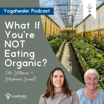 The Yogahealer Podcast L Ayurveda L Yoga L Healthy Foods | Yoga Teachers With Cate Stillman