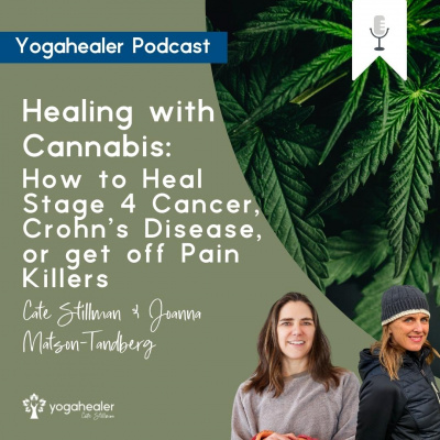 The Yogahealer Podcast L Ayurveda L Yoga L Healthy Foods | Yoga Teachers With Cate Stillman