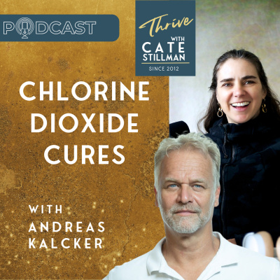 The Yogahealer Podcast L Ayurveda L Yoga L Healthy Foods | Yoga Teachers With Cate Stillman