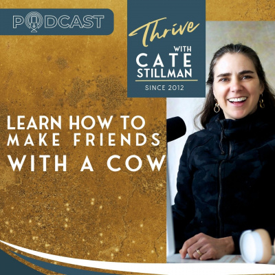 The Yogahealer Podcast L Ayurveda L Yoga L Healthy Foods | Yoga Teachers With Cate Stillman