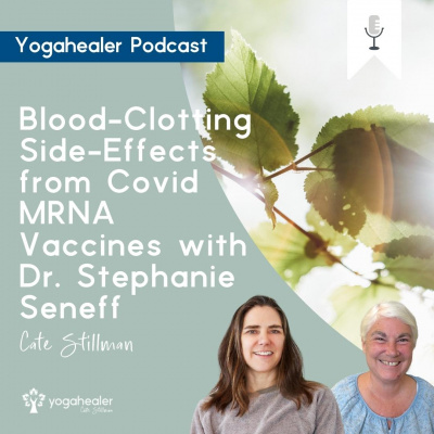 The Yogahealer Podcast L Ayurveda L Yoga L Healthy Foods | Yoga Teachers With Cate Stillman