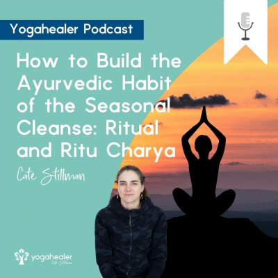 The Yogahealer Podcast L Ayurveda L Yoga L Healthy Foods | Yoga Teachers With Cate Stillman
