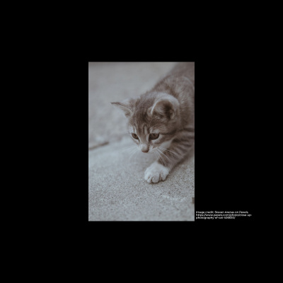 Sermons From First Baptist Church Of Lawrence, Ks