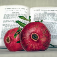 Jewish New Year - The Jay Shapiro Show