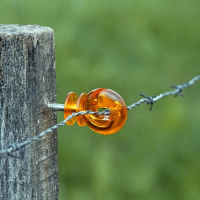 The Importance of Fences - Pull Up a Chair