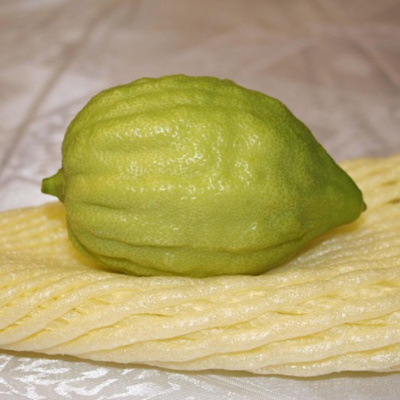 Israel News Talk Radio