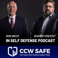 In Self-Defense Podcast 129: The Acquittal of Daniel Penny