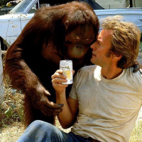 Every Which Way But Loose (1978)