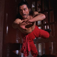 Five Deadly Venoms (1978)