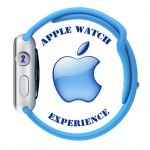 Apple Watch Experience