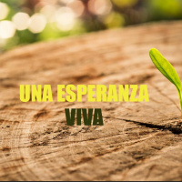 Una Esperanza Viva. 1er mensaje Serie El ancla de la Esperanza