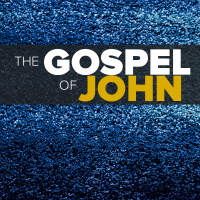 The Good Shepherd - Jimm Wood