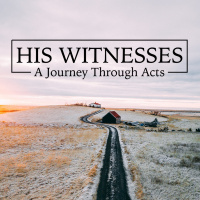 Changed To Be His Witness - Jimm Wood