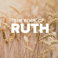 The Book of Ruth - DeDe Wood