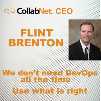 Collabnet CEO on Waterfall and DevOps