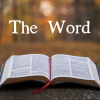 Discipline In The Word